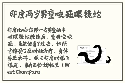 蜘蛛密友免费版官方下载